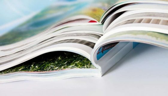Garden Catalogs Addiction