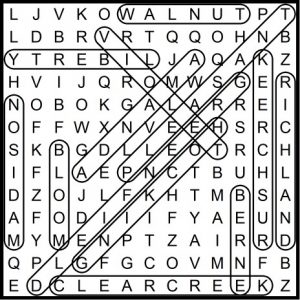 Fairfield County Ohio Townships Word Search