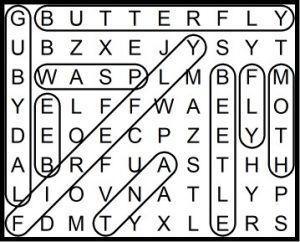 Gibbys Insects Word Search