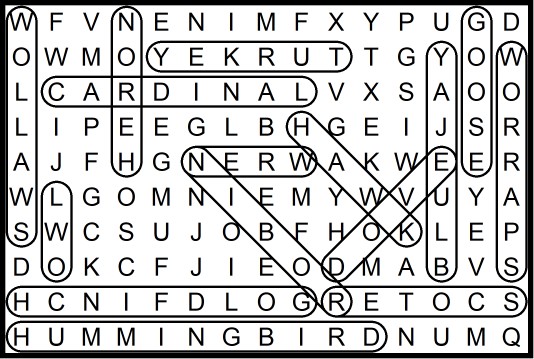 Birds of Ohio Word Search August 2019