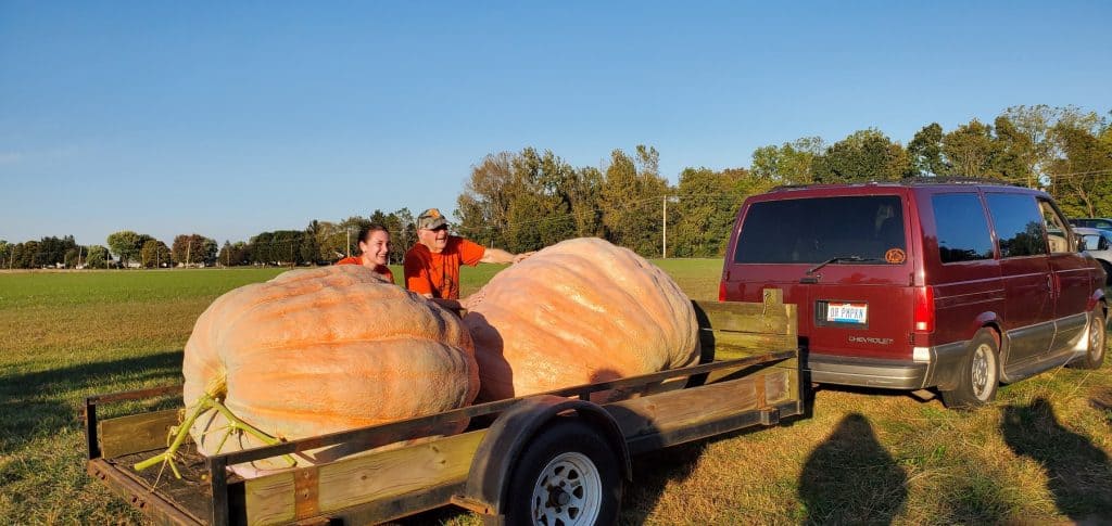 Bob and Bella Liggett and their Giant Pumpkins
