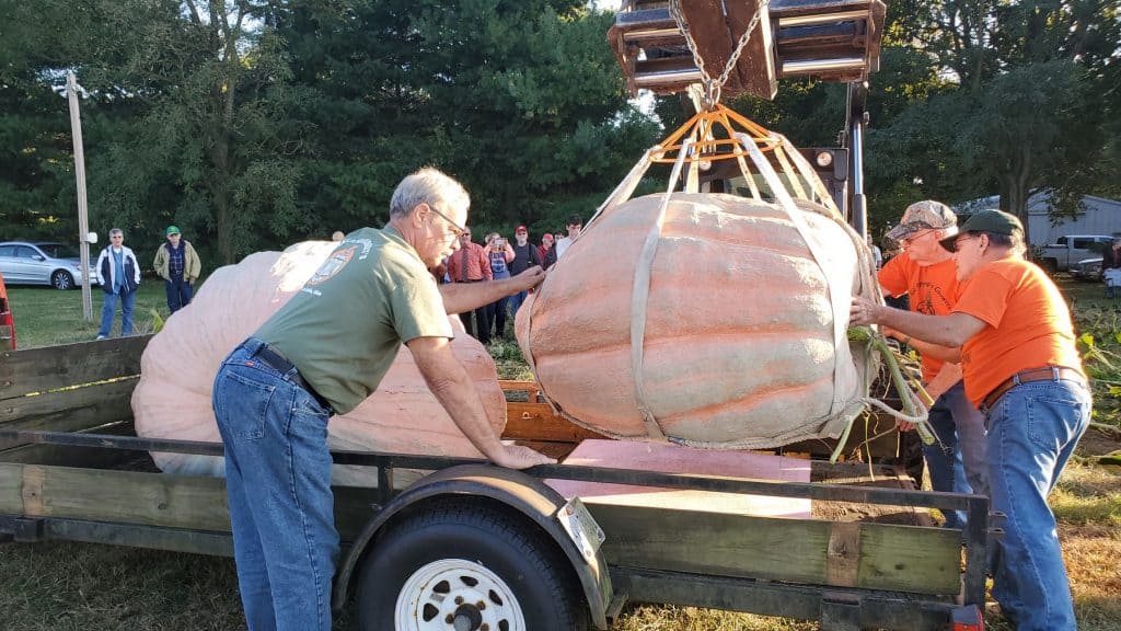 Loading Bella Liggett's Giant Pumpkin