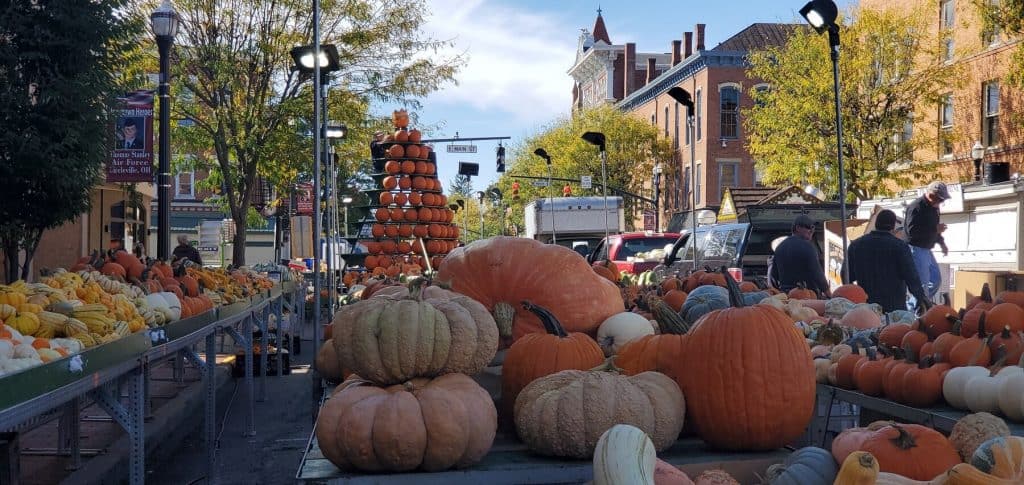 Pumpkin Area Set Up at 2019 Circleville Pumpkin Show