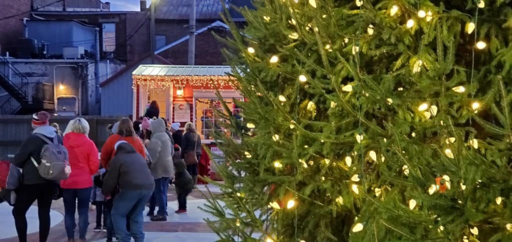 Christmas tree lit-up in Pumpkin Show Park