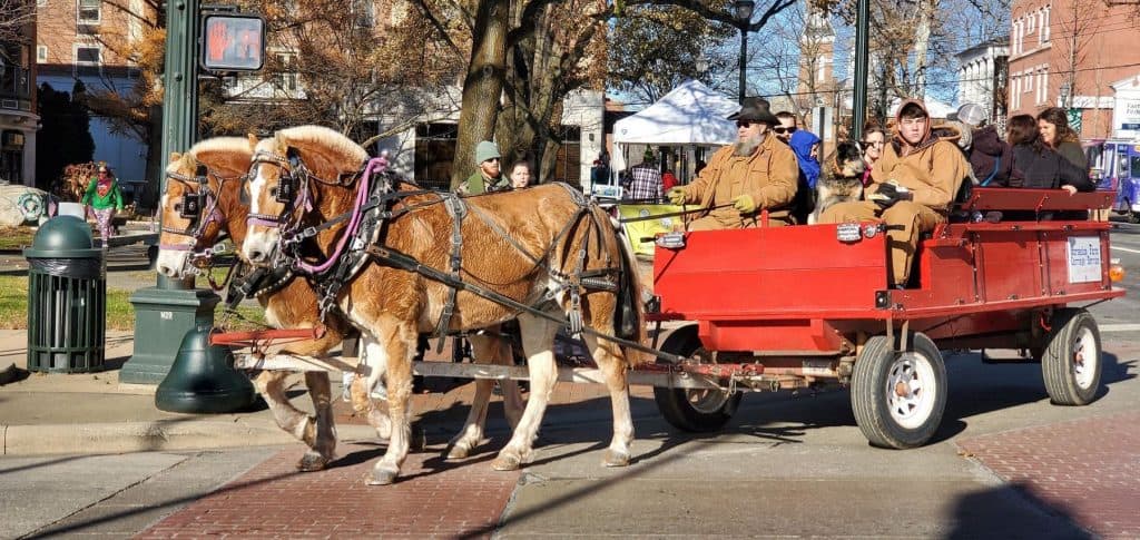 Horses and Carriage at Lancaster WinterFest in Downtown Lancaster