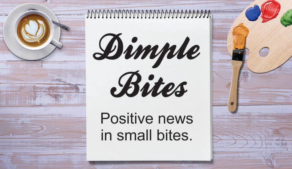 Dimple Bites Sign 2