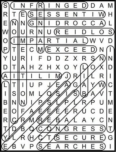 Bill of rights word search May 8 2020