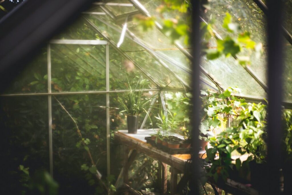 Greenhouse and ways to cut down expenses