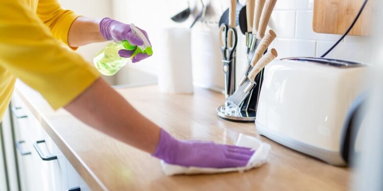 Healthy, Safe and Affordable Home Cleaning Tips