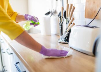 Healthy, Safe and Affordable Home Cleaning Tips