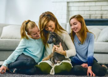 How to Welcome a New Puppy to the Family