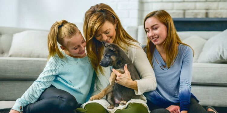 How to Welcome a New Puppy to the Family