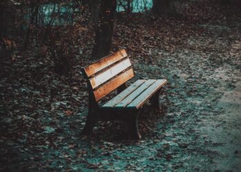 Photo by Tim Hüfner