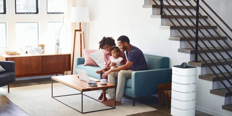 How to improve your home's air quality