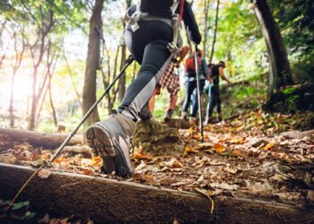 5 Hobbies to Keep Your Body and Mind Healthy and Happy