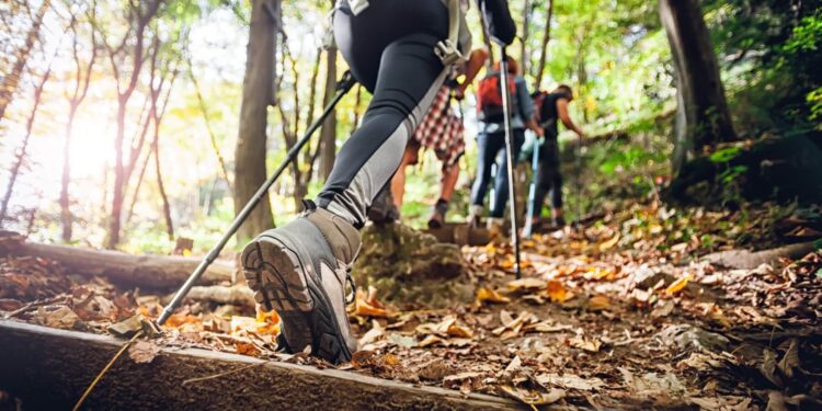 5 Hobbies to Keep Your Body and Mind Healthy and Happy