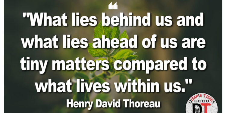 Henry David Thoreau Quote