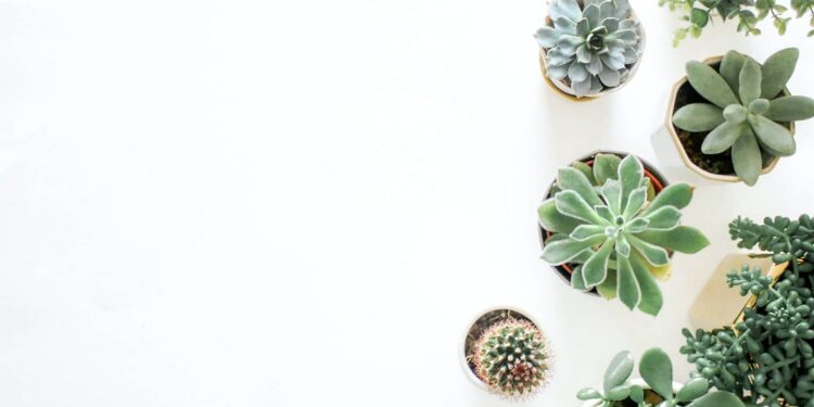 Photo by Element5 Digital