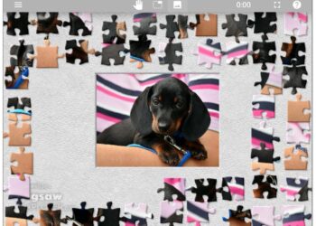 Time for a little puppy love