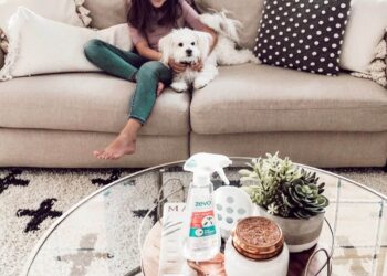 4 ways to prepare your home for bug season