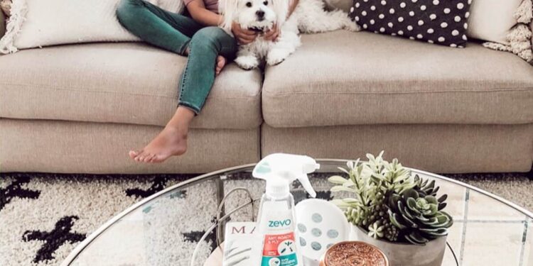 4 ways to prepare your home for bug season