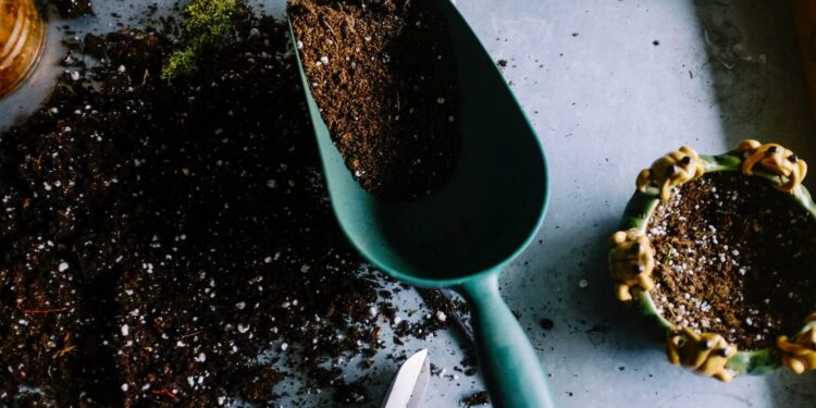 Should you strip your garden right back this Spring?