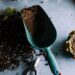 Should you strip your garden right back this Spring?