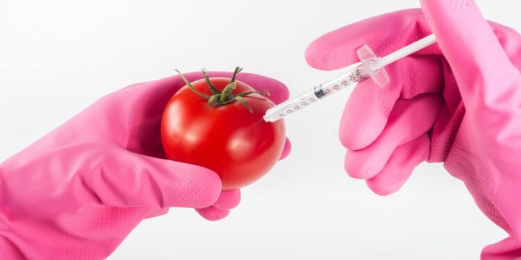 What in the heck is GMO