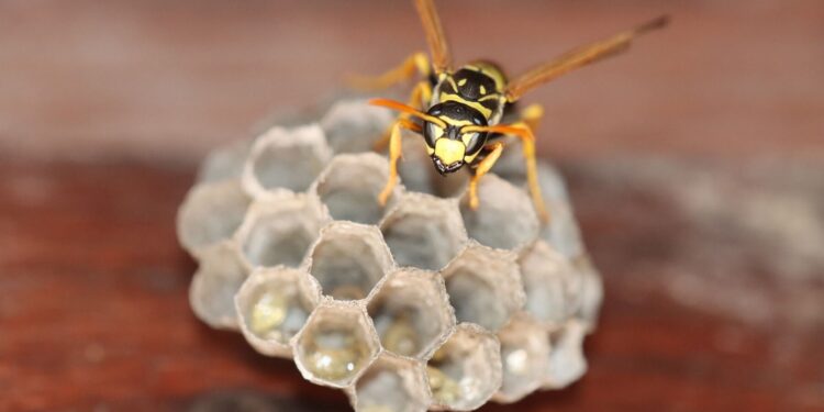 Annual inspections that should be done on your home