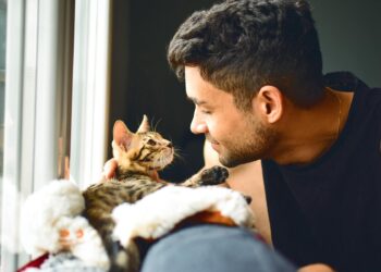 Expert tips for welcoming a kitten