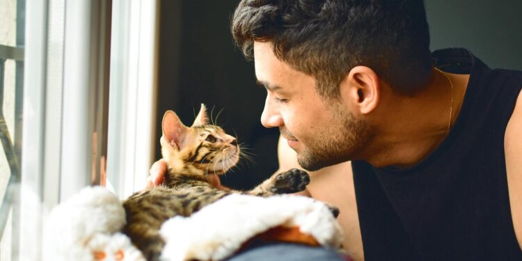 Expert tips for welcoming a kitten