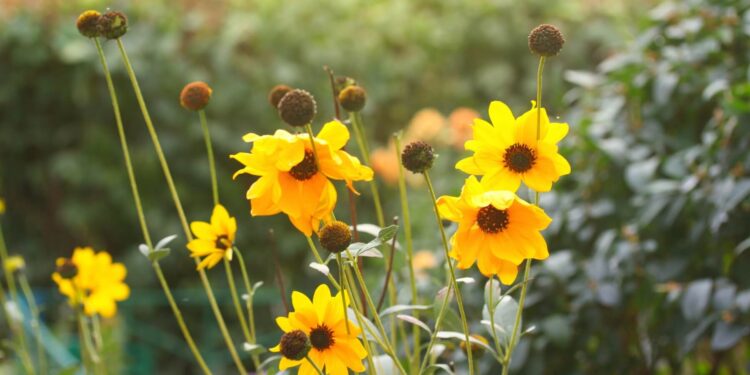 Hold Onto Hope Flowers