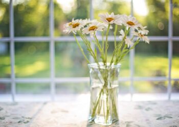 Keep it cool at home this summer