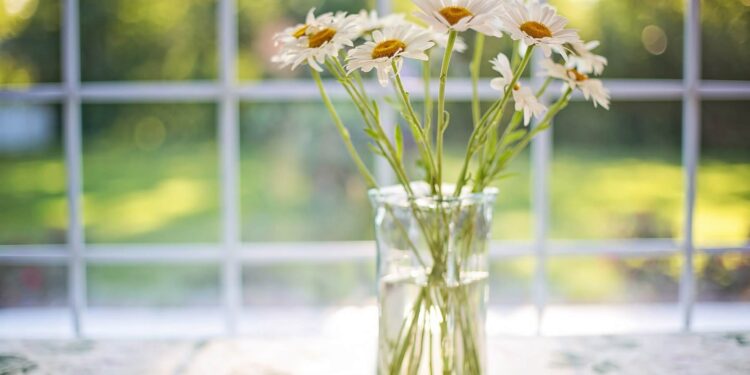 Keep it cool at home this summer