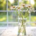 Keep it cool at home this summer