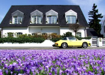 4 Seasons: the unique challenges every home faces