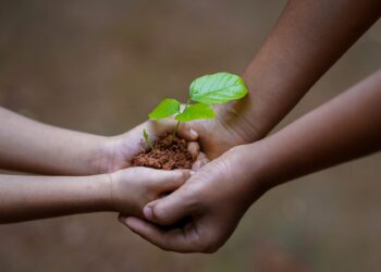 8 tips to save on energy this summer