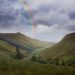 Search for the rainbow during life's downpours