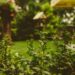 Spruce Up Your Garden Just In Time For Summer
