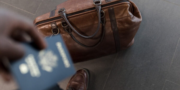 Tips for travelling with your dog- What can you do to make your life easier