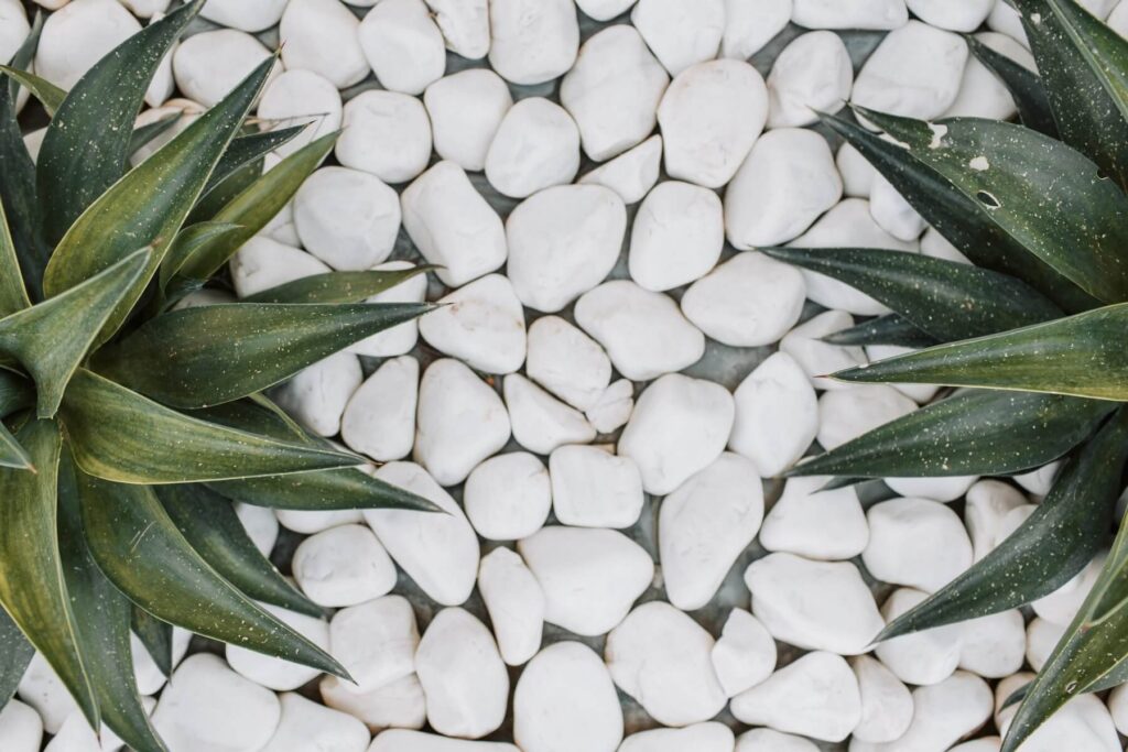 Building a zero-maintenance garden