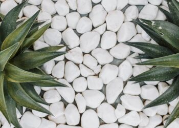 Building a zero-maintenance garden