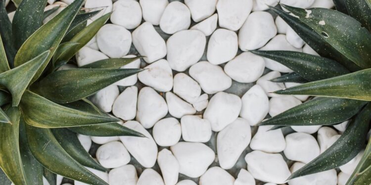 Building a zero-maintenance garden