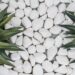 Building a zero-maintenance garden