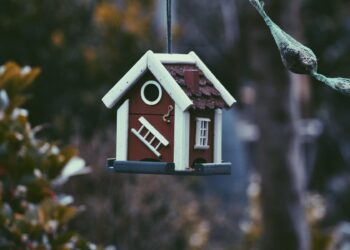 Buying and Selling in a Hot Housing Market