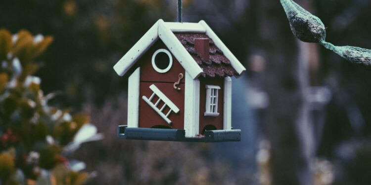 Buying and Selling in a Hot Housing Market