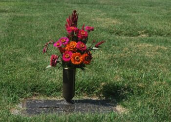 Preparing for your future