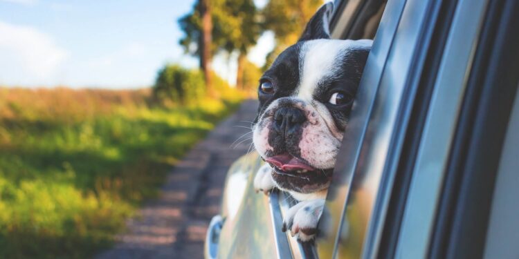 To have a safe road trip