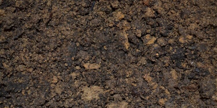 What is the best kind of soil to grow a beautiful garden