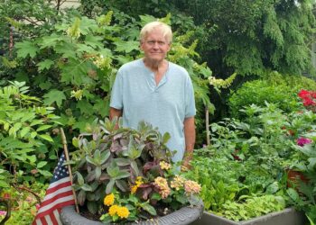 12 Reasons why we should be involved in gardening